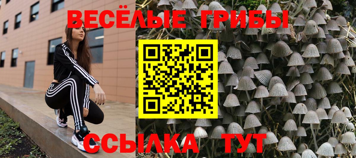 Псилоцибиновые грибы мицелий  Галлюциногенные грибы прущие грибы  Вход с VPN  Кировск 