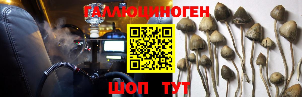 Галлюциногенные грибы MAGIC MUSHROOMS Кировск